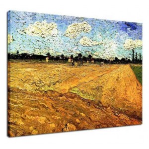 Vincent van Gogh - Zaorane pole
